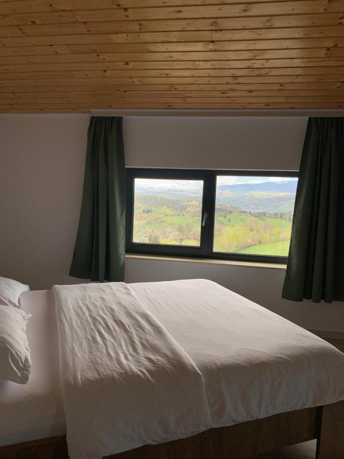 Vila Panorama Sohodol  Zewnętrze zdjęcie